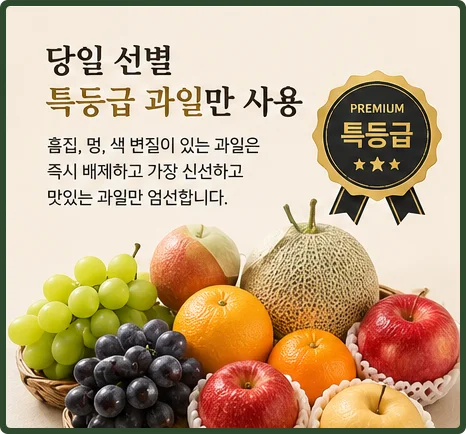 과일낙원 과일바구니 퀵배송
