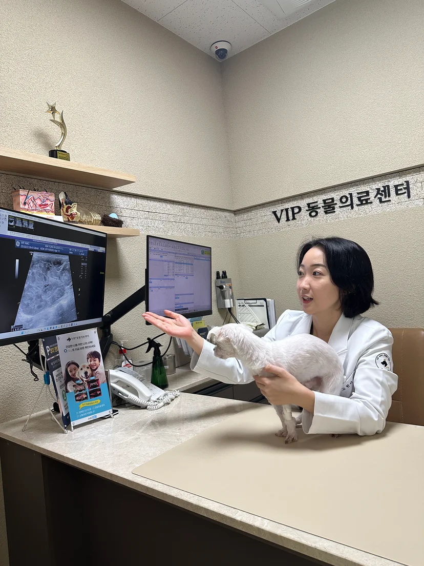 강아지 진단을 위해 면밀하게 살펴보고 있는 VIP동물의료센터 동대문점 고한아 원장