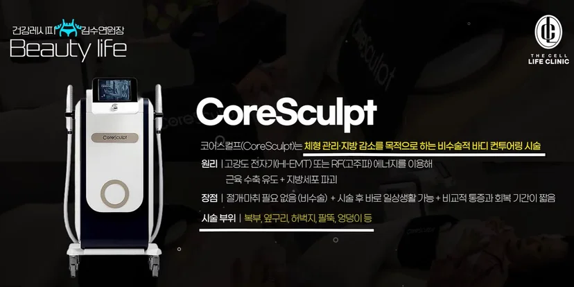 체형관리 지방감소 목적 비수술적 바디컨투어링시술 코어스컬프