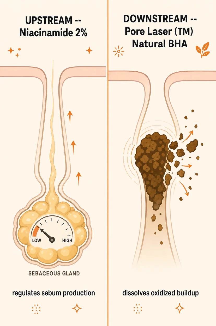 Split infographic showing 2% niacinamide regulating sebum at the gland upstream and natural BHA dissolving oxidized blackhead buildup downstream in a pore.