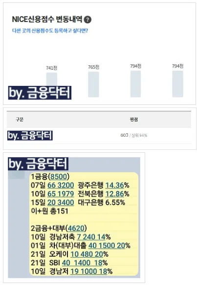 채무현황