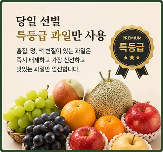 특등급 과일바구니 당일 퀵 배송