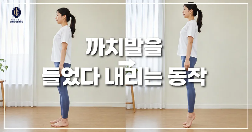 매시간 '30초 까치발 운동'하기