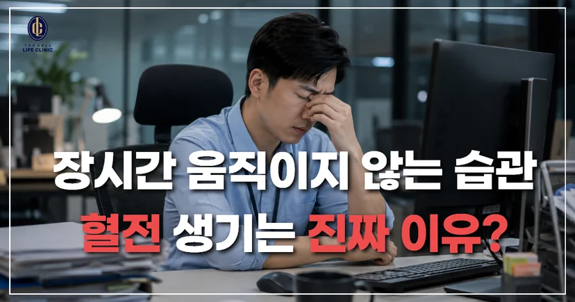 우리 피는 끊임없이 흘러야 건강합니다. 하지만 사무실 모니터 앞에 3~4시간씩 앉아 있거나, 장거리 운전을 할 때처럼 몸을 움직이지 않으면 피가 아래로 쏠리며 고이게 됩니다. 고인 물이 썩듯, 흐르지 못하고 고인 피는 쉽게 뭉쳐 피떡이 됩니다.