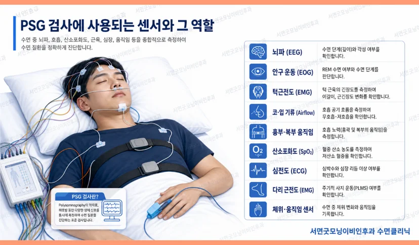수면다원검사에 사용되는 센서의 역할과 검사 항목