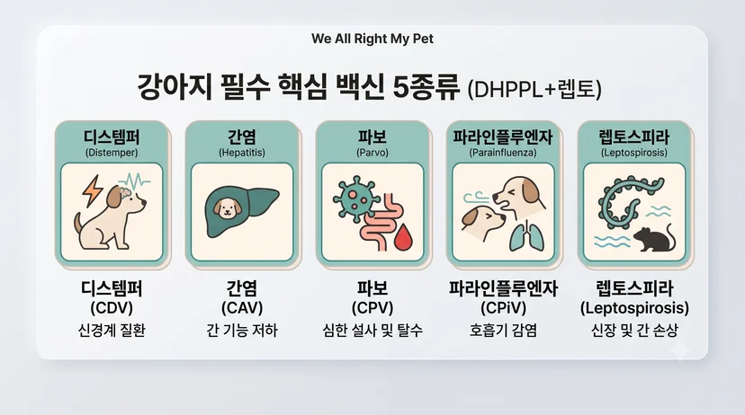DHPPL 등 강아지 백신 종류 5가지 아이콘