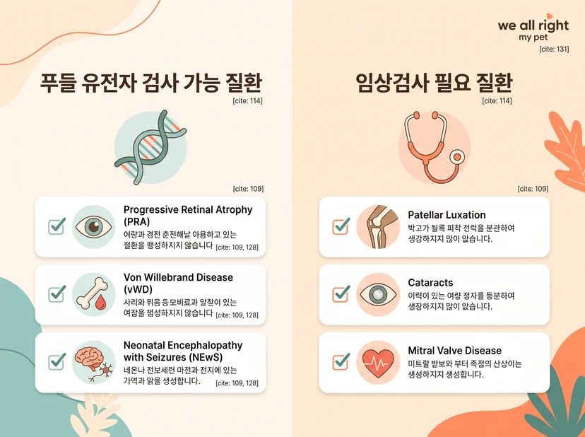푸들 유저자 검사 가능 질환과 임상검사 필요 질환 비교