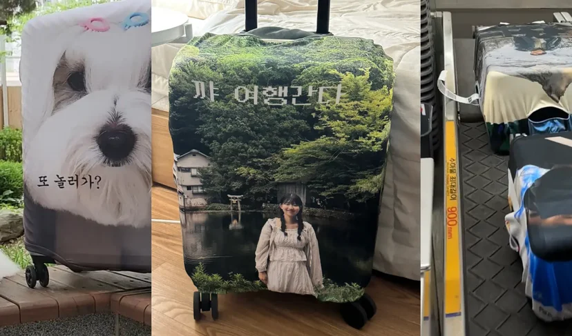 마플 커스텀 캐리어 커버 – 반려견 얼굴과 여행 사진, 인물 사진을 전면 풀프린팅한 캐리어 커버 3종을 실제 여행과 수하물 운송 환경에서 촬영한 후기 이미지
