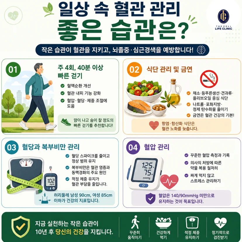 일상 속 혈관 관리 좋은 습관은? 주 4회, 40분 이상 빠른 걷기 식단 관리 및 금연  혈당과 복부비만 관리 혈압 관리 