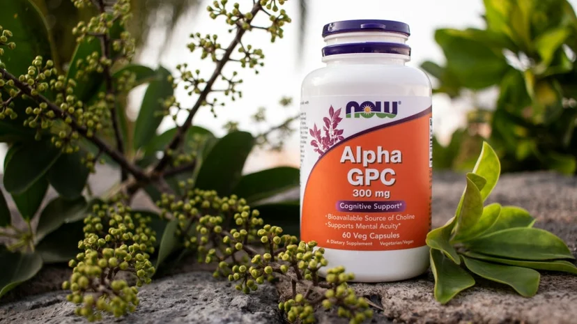 식물 앞에 놓인 나우푸드 Alpha GPC 300mg 영양제 용기