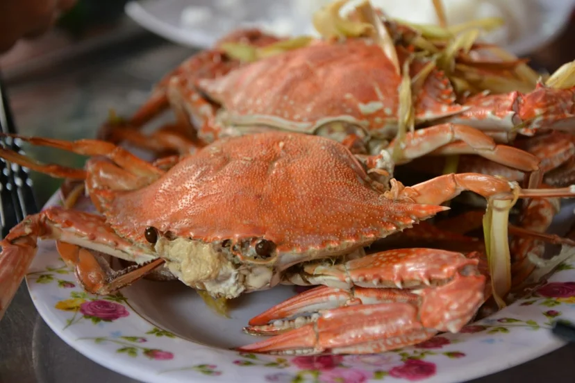 접시 위에 붉게 삶아져 올려진 게 껍데기 요리