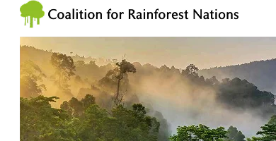 Coalition for Rainforest Nations 기후 비영리 단체 로고와 안개 낀 열대우림 산맥 풍경