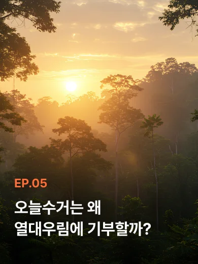 황금빛 석양이 내리쬐는 울창한 녹색 열대우림 숲과 나무 풍경