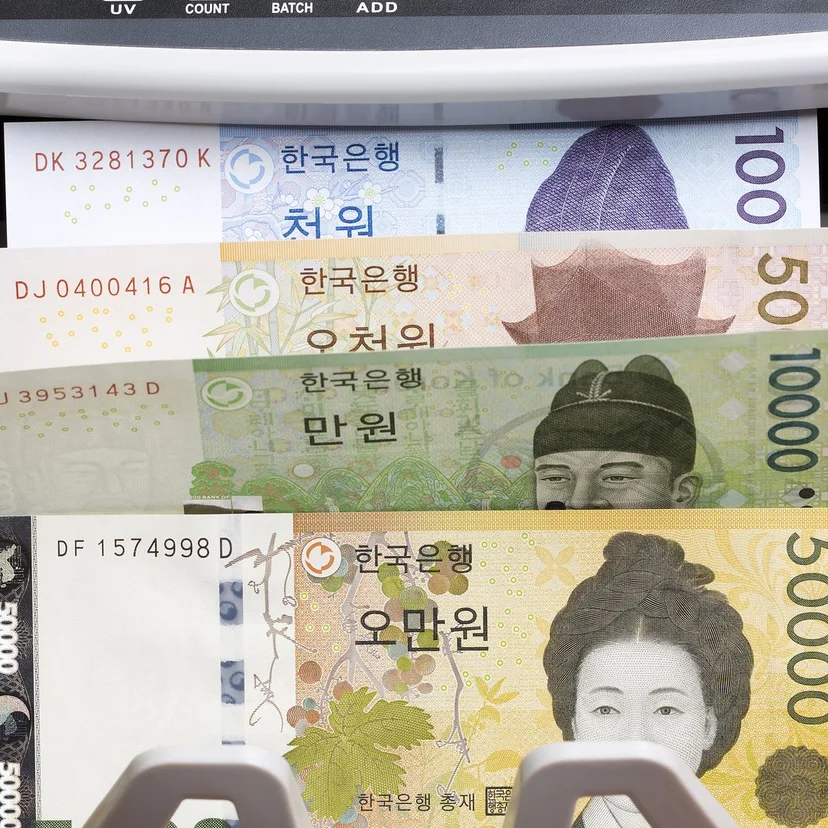 지폐 계수기에 꽂힌 오만원권과 만원권, 한번 넘어가면 되돌리기 어려운 돈