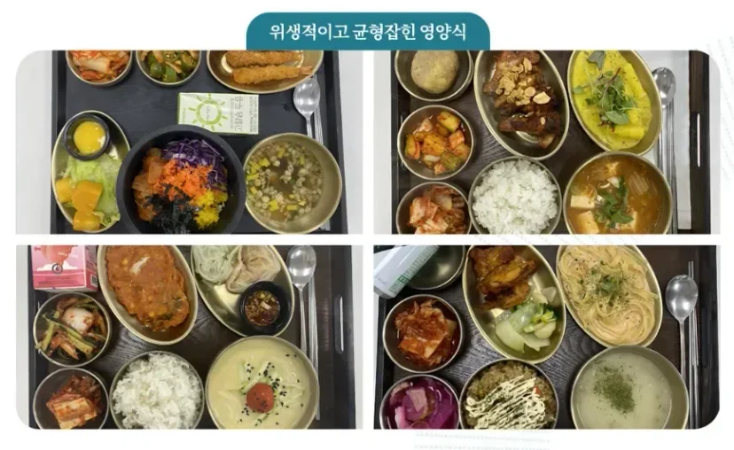 암 수술 후 회복관리|위생적이고 균형잡힌 영양식 식단 구성 안내
