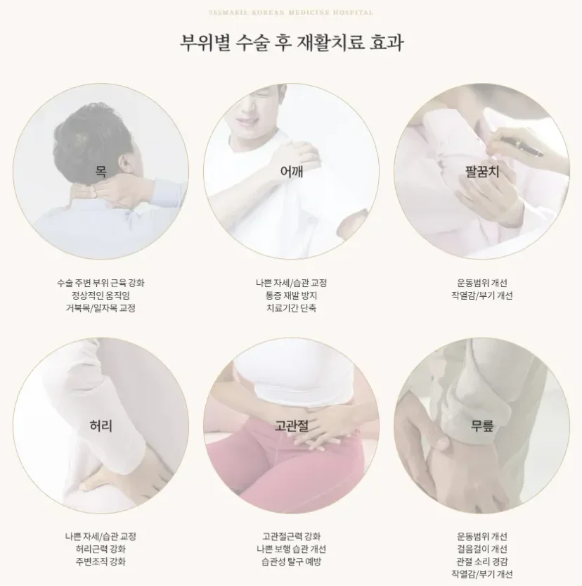 무릎 어깨 수술 후 재활|부위별 수술 후 재활치료 효과 안내 인포그래픽