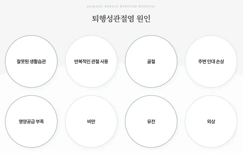 무릎 연골 주사|퇴행성관절염의 8가지 주요 원인 설명 인포그래픽