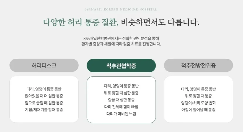 허리디스크 원인|허리디스크, 척추관협착증, 척추전방전위증 증상 비교 인포그래픽