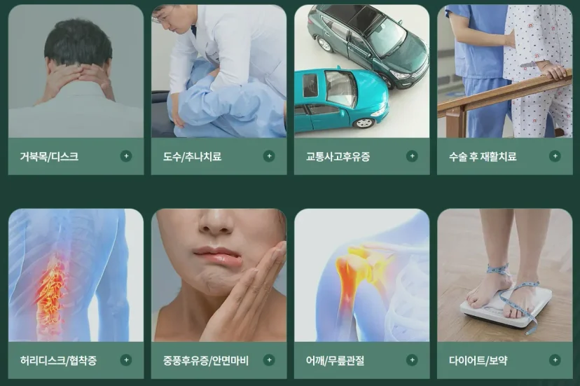 항암 후 회복기 입원|png