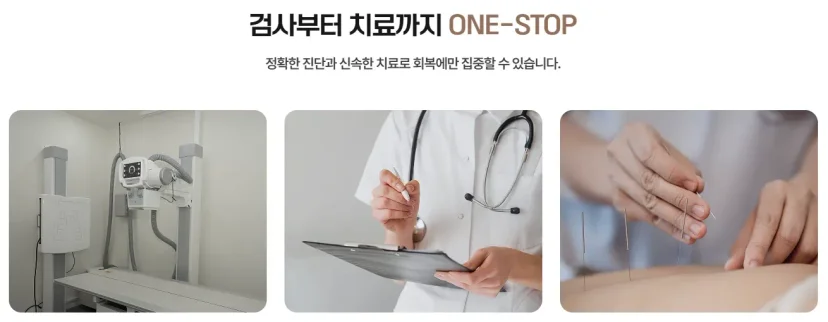 식욕 억제 한약 다이어트|검사부터 치료까지 원스톱 의료 서비스 안내