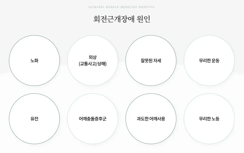 회전근개 재활 운동|회전근개장애의 주요 원인 8가지 인포그래픽