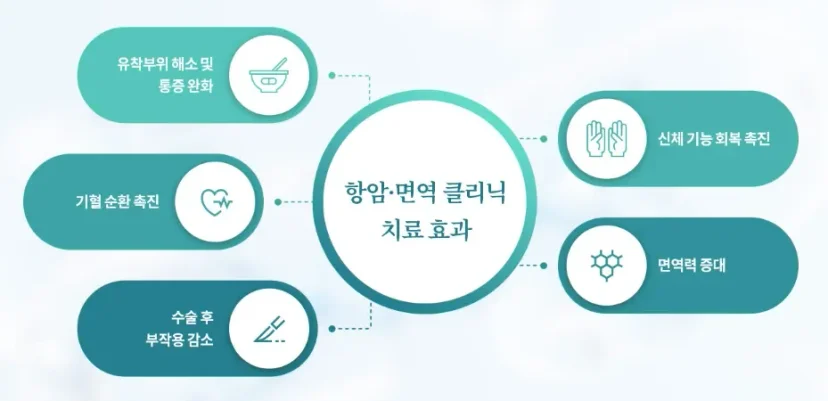 항암 치료중 식사|항암·면역 클리닉의 주요 치료 효과 인포그래픽
