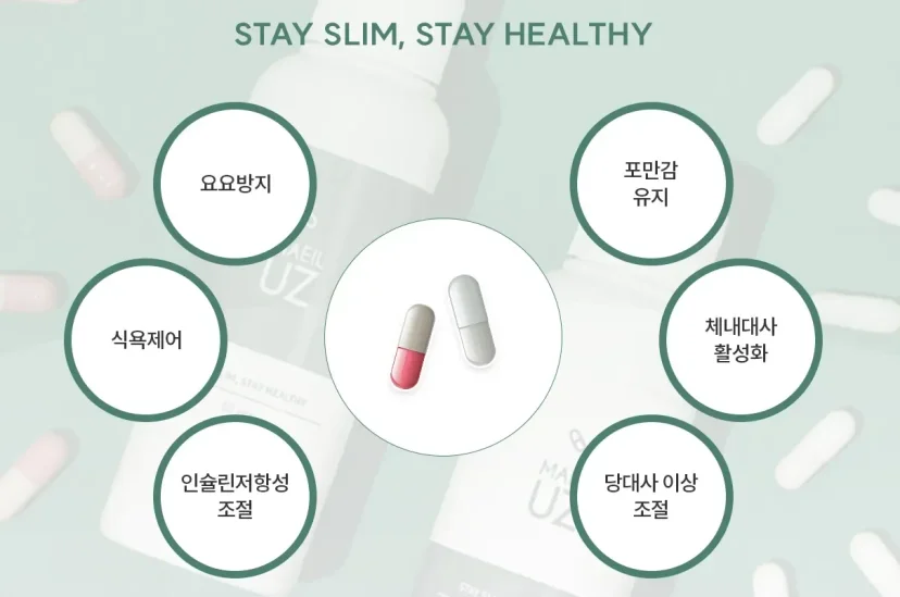 식욕 억제 한약 다이어트|다이어트 보조제의 주요 효능 및 기대 효과 인포그래픽