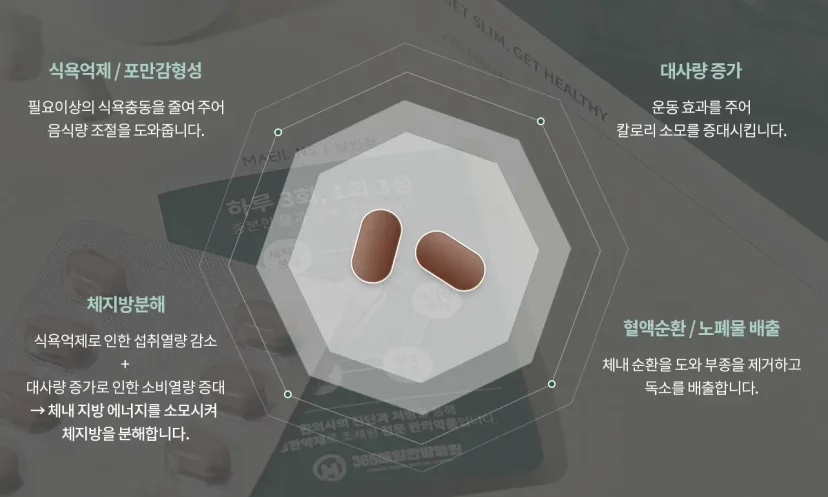 식욕 억제 한약 다이어트|다이어트 한약의 주요 효능 및 복용법 안내 인포그래픽