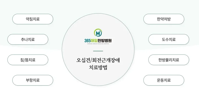 무릎 어깨 수술 후 재활|오십견 및 회전근개장애 한방 치료 방법 인포그래픽