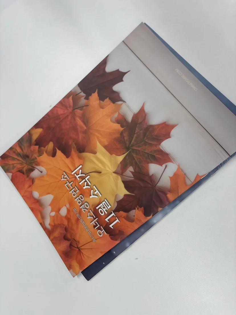 실제 사례 — 기술보증기금 대출 보증 한도 관련 이미지