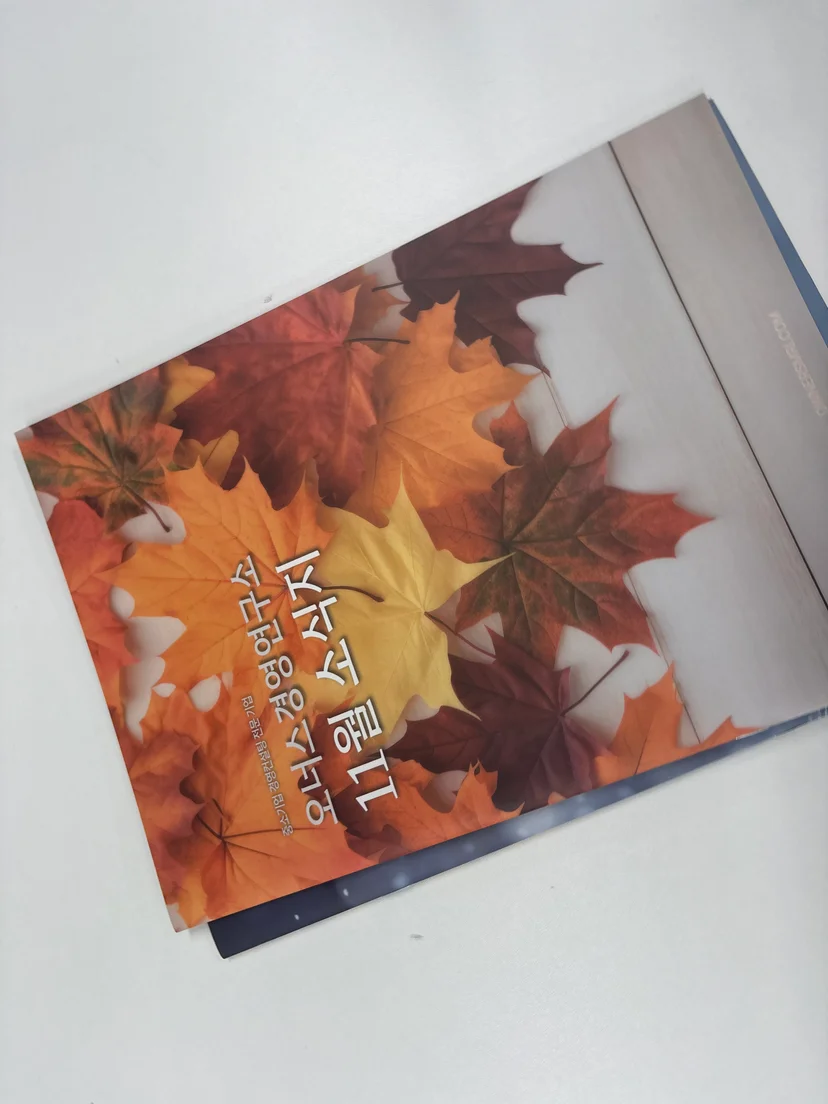 기존 대출이 있으면 새로운 자금이 정말 어려운가 — 기존 대출 추가 대출 관련 이미지