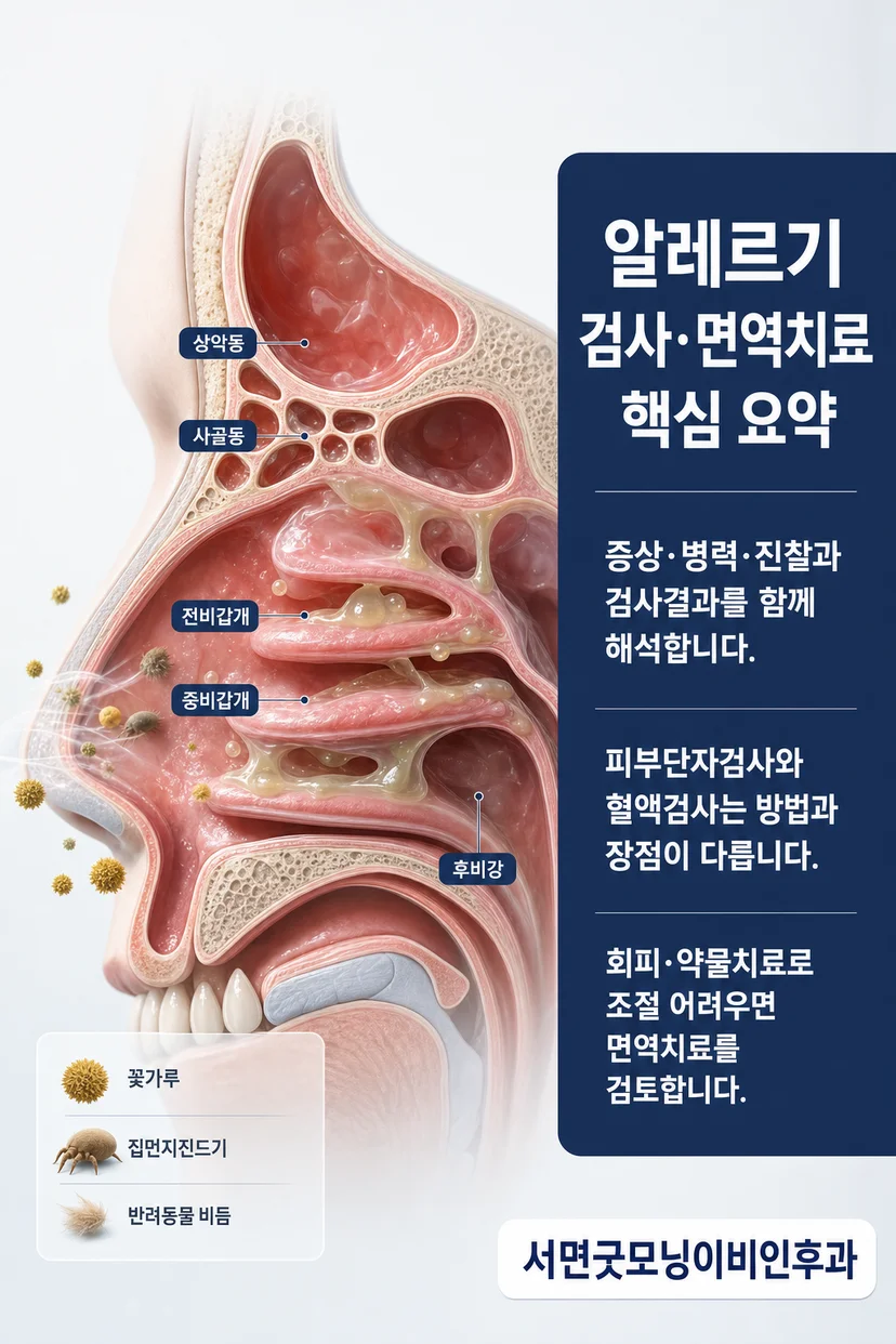 이비인후과 전문의 프로필 사진