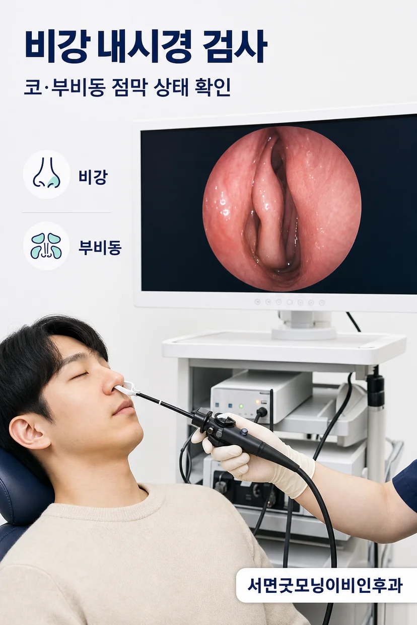 코 세척과 생활관리 방법 안내