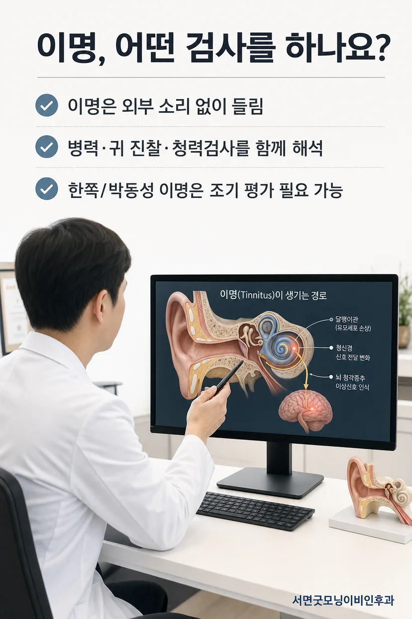 이비인후과 전문의 프로필
