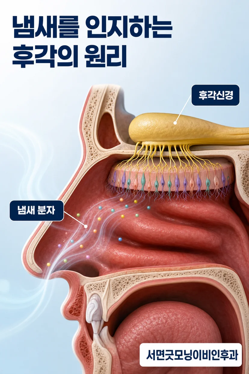 후각 검사 키트