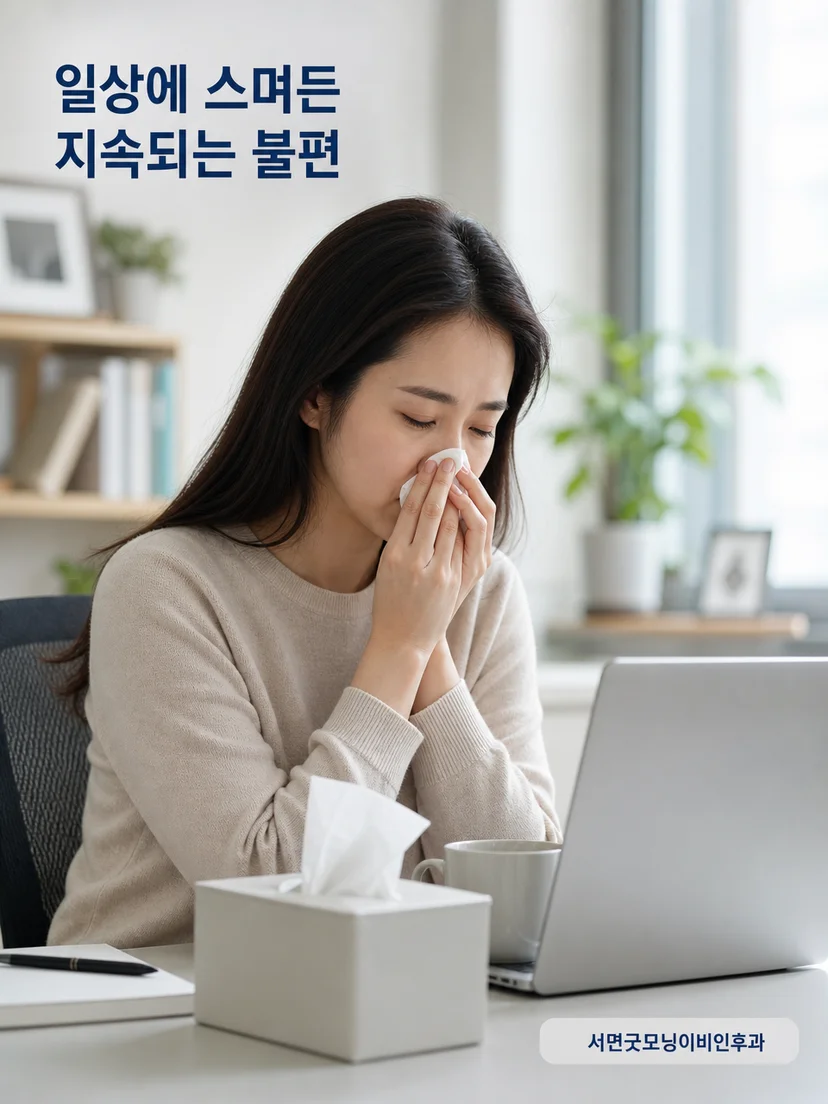 부비동과 콧속 구조를 설명하는 의학 일러스트