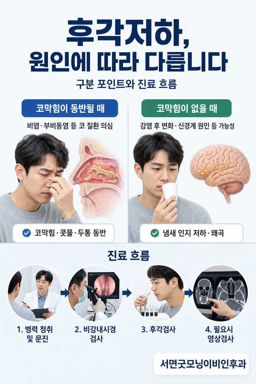 부비동 CT 영상