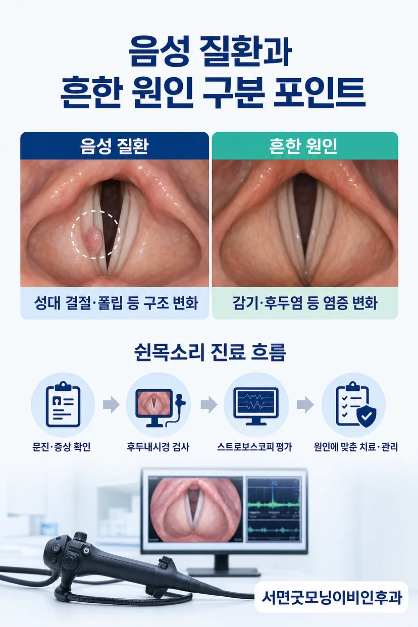 스트로보스코피 검사 장면