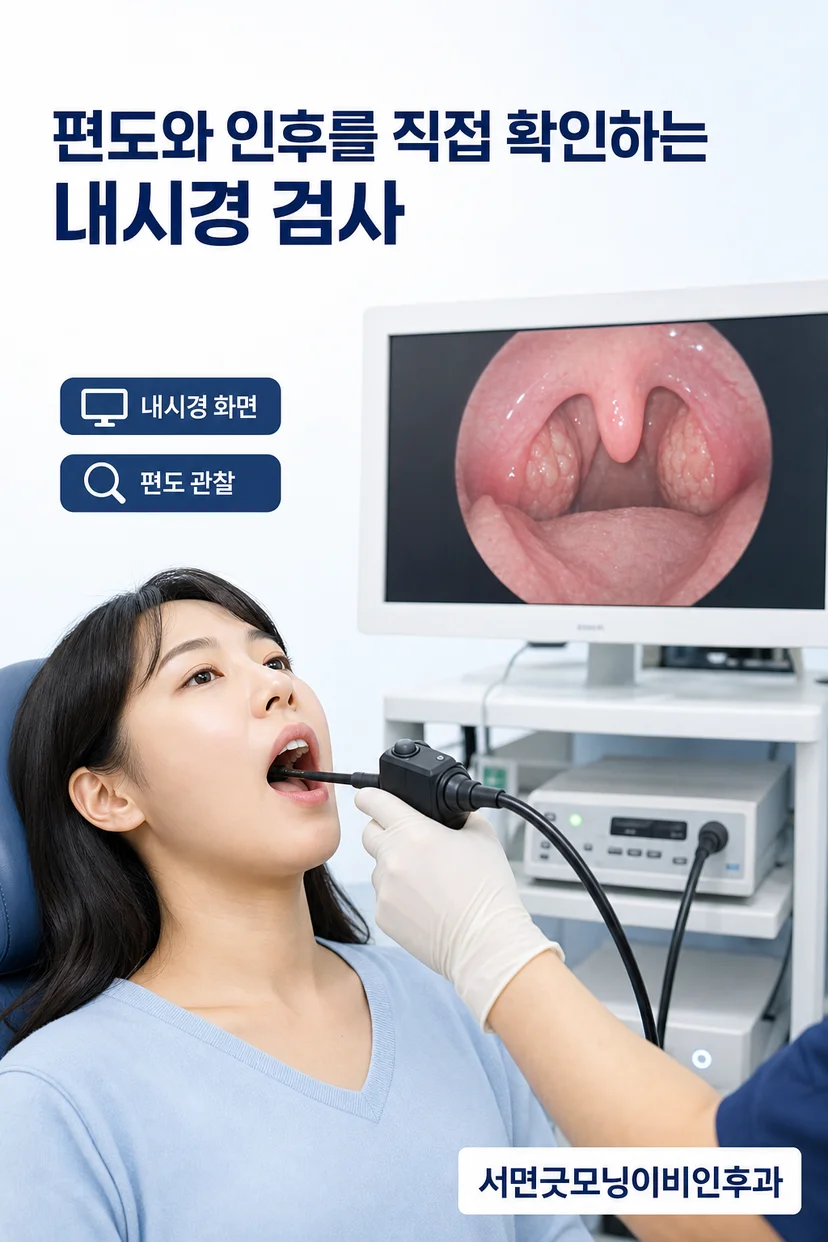 편도절제술 설명 자료