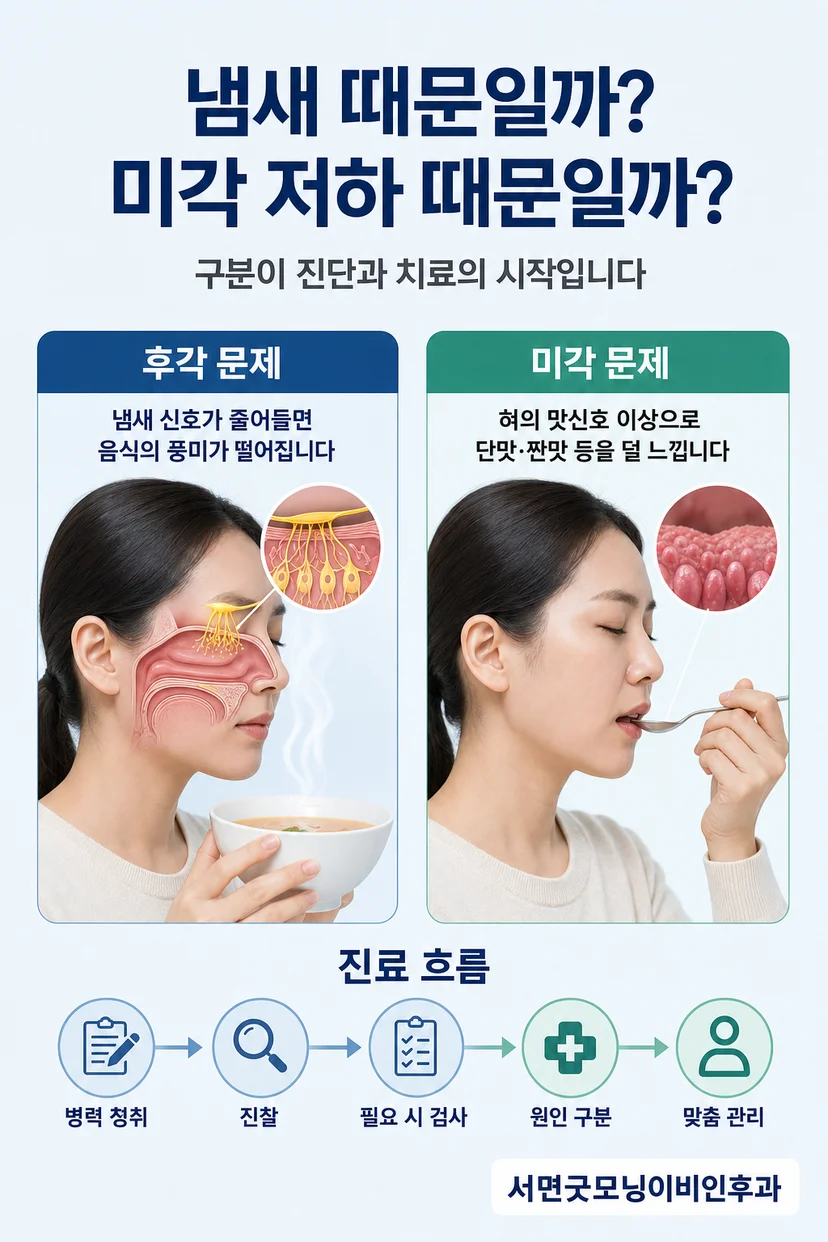 이비인후과 내시경 검사 이미지