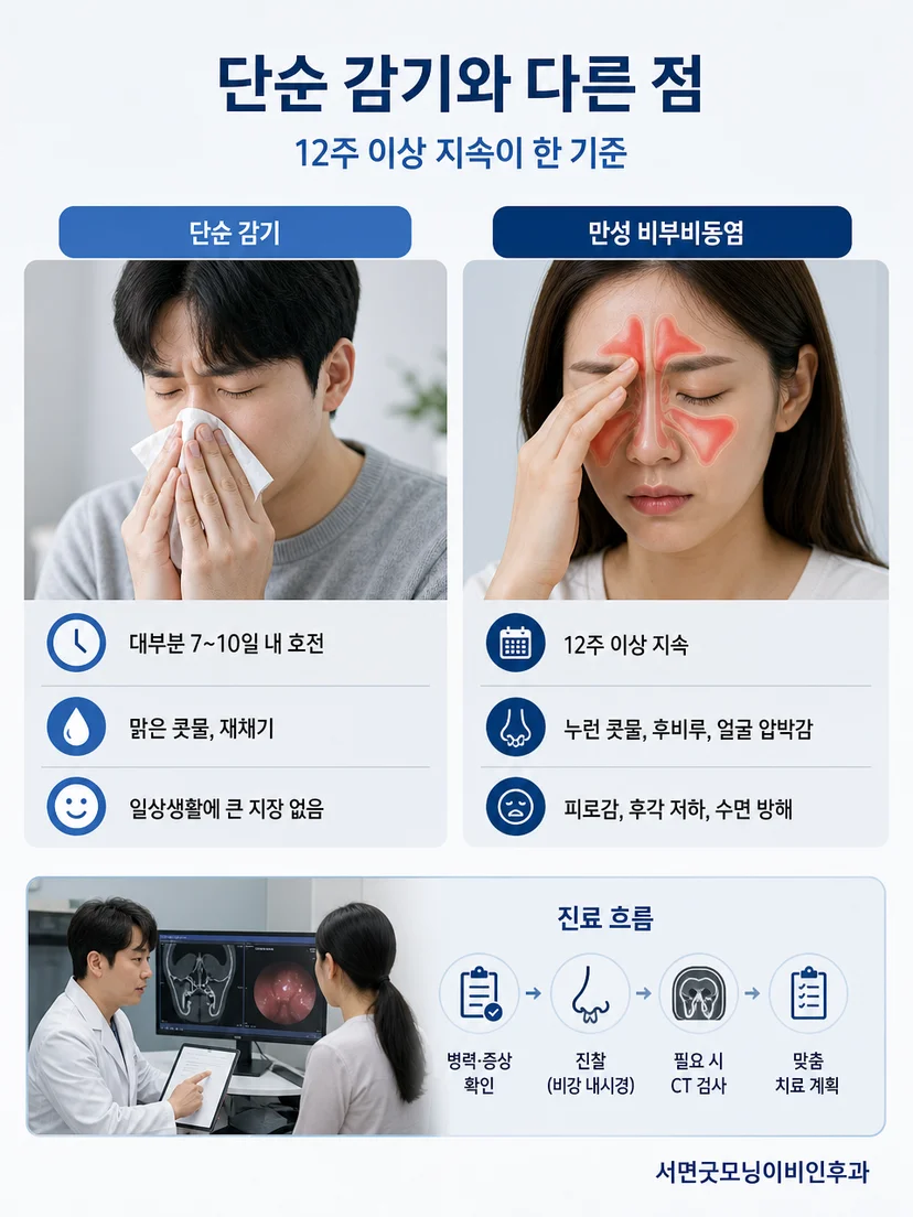 코막힘, 콧물, 얼굴 압박감, 후각저하를 상징하는 아이콘