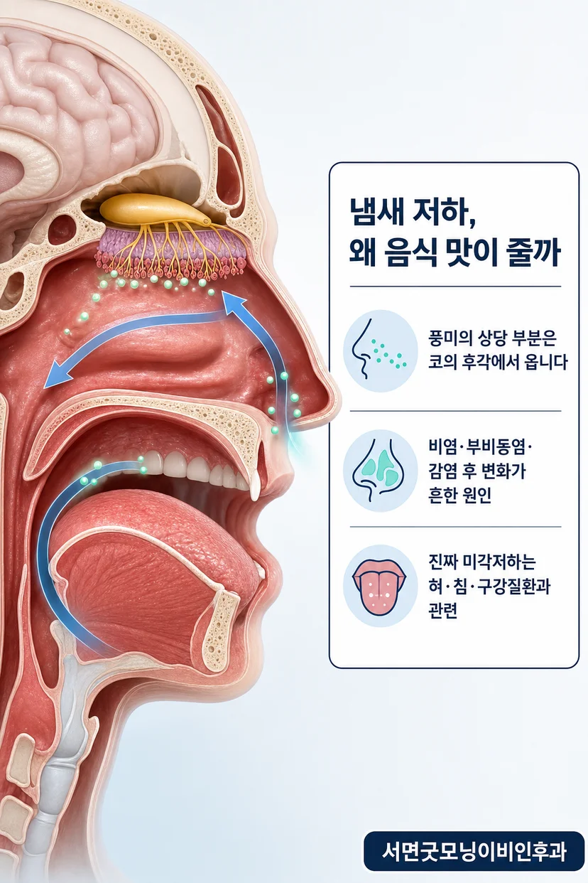 이비인후과 전문의 프로필 사진