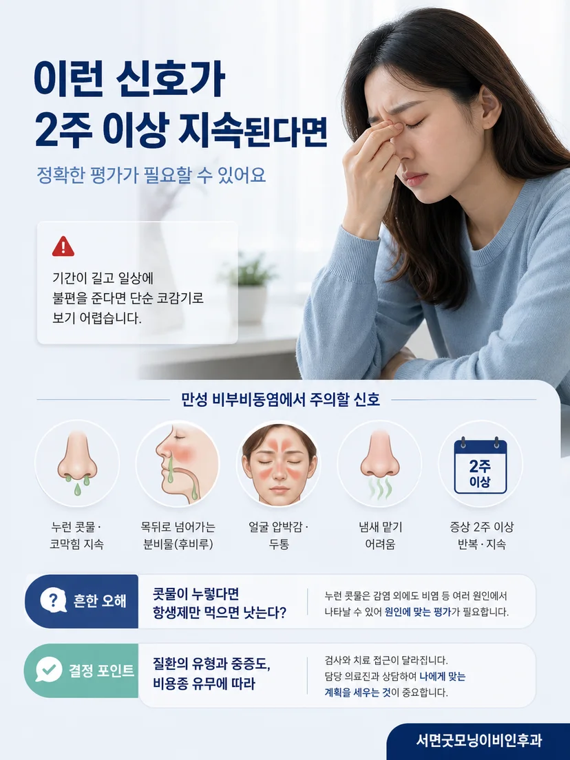 부비동 CT 이미지 예시