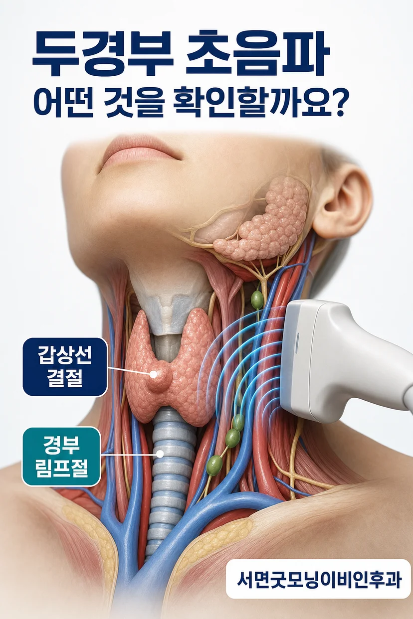 갑상선 결절 초음파 영상