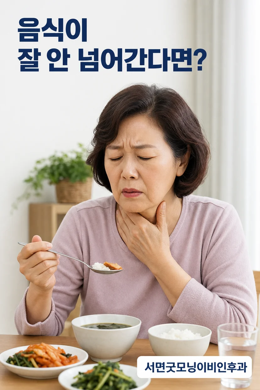삼킴 과정 단계별 구조도