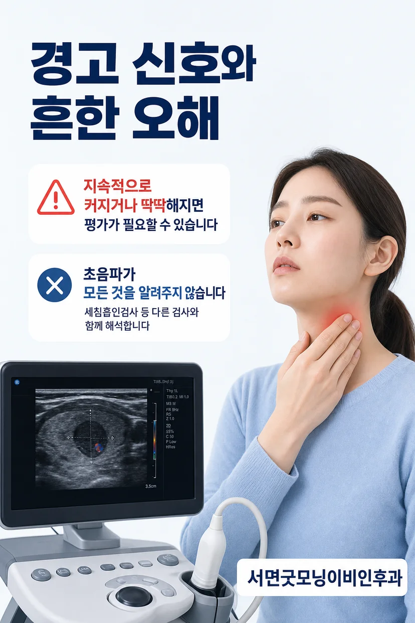 피하 종물 초음파 영상