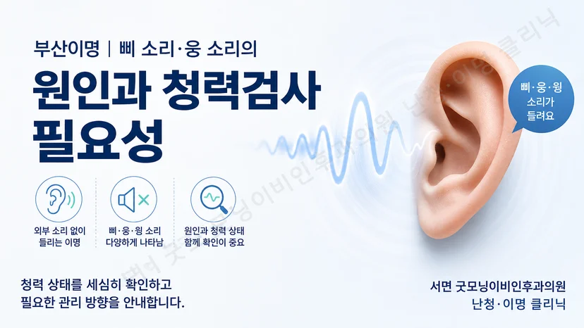 이명의 원인과 동반 청력 상태를 함께 살피는 핵심 안내 이미지