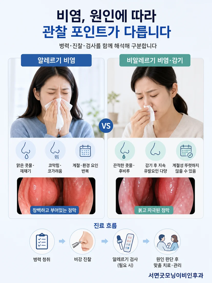 감기와 알레르기 비염 증상을 구분하는 체크리스트 개념 이미지