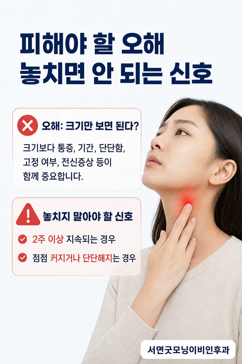 림프절 초음파 검사 결과 예시