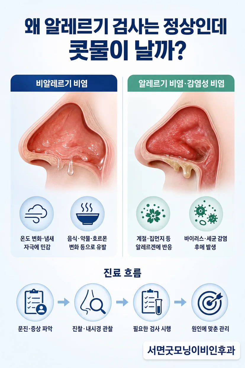 비내시경 검사 과정